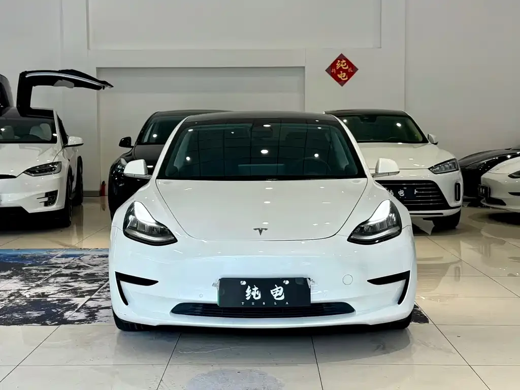 Tesla Model 3 2020 Standard Range RWD Plus
