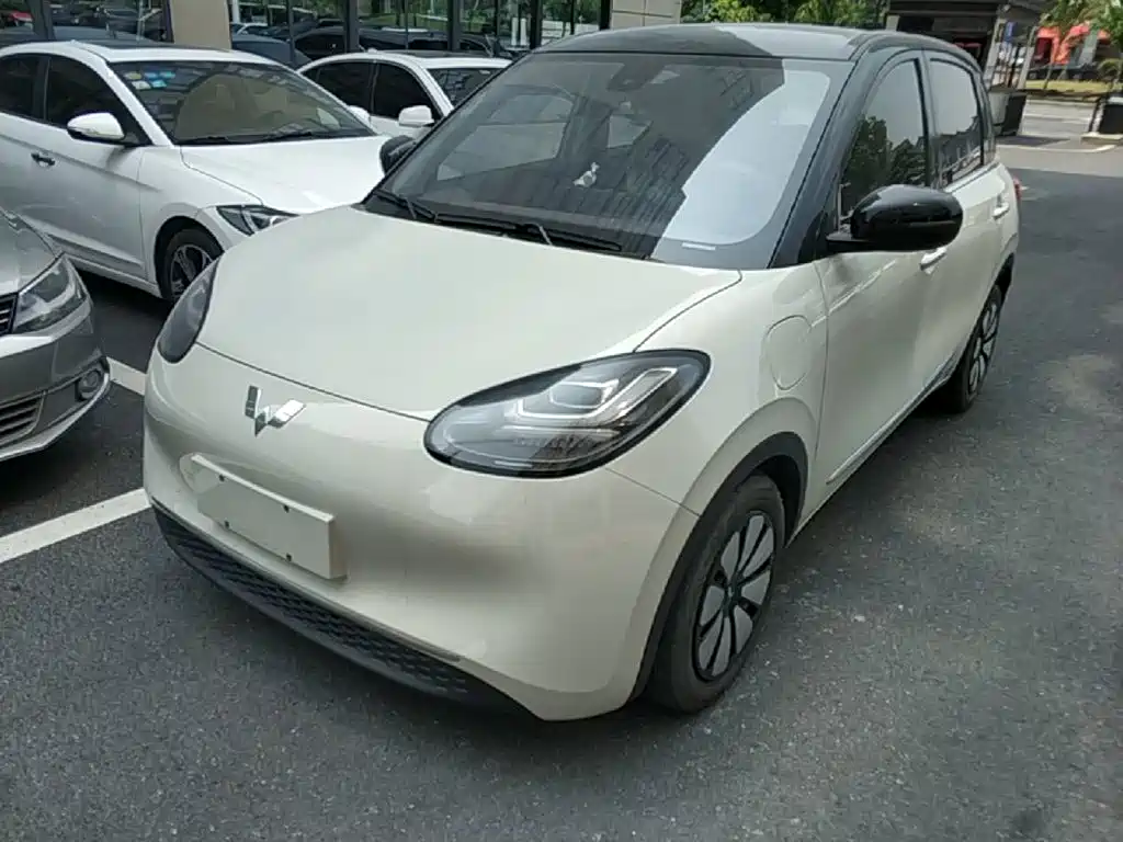 Wuling Binguo 2023 333km