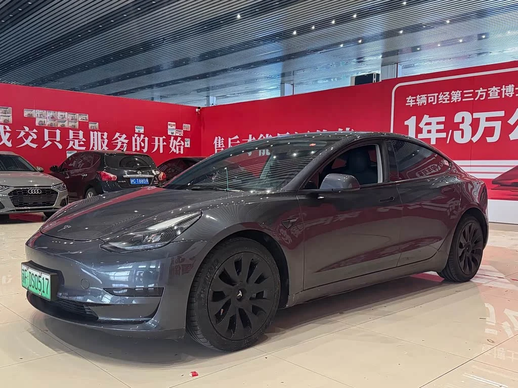 Tesla Model 3 2021 Standard Range RWD Plus