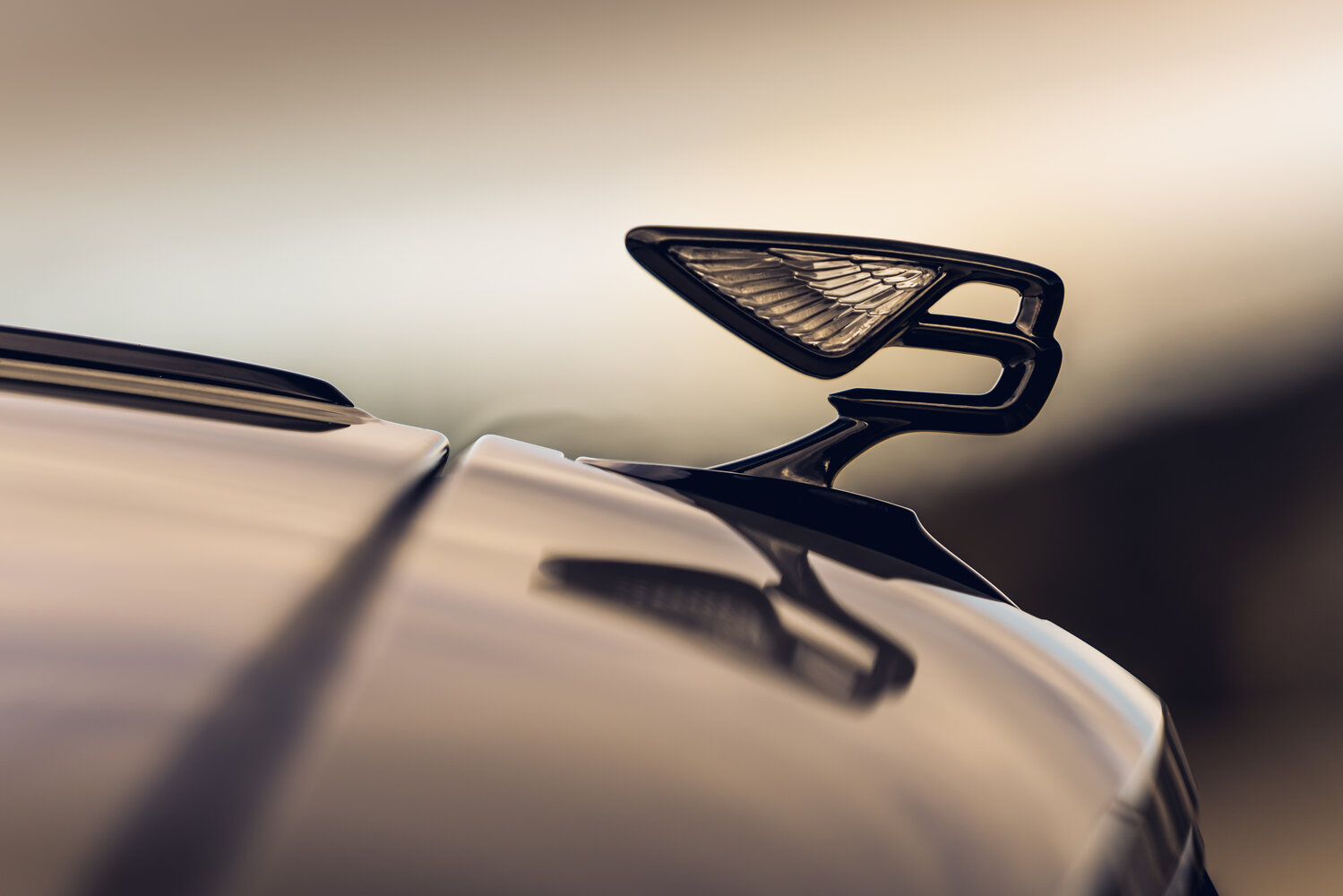 Bentley Flying Spur — Фотографии комплектации 9